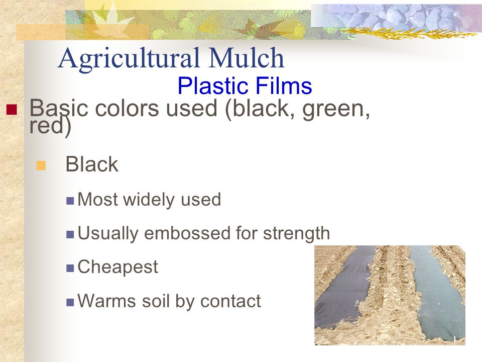 Agricultural Mulch Basic colors used (black, green, red) Black Most widely used Usually embossed for strength Cheapest Warms soil by contact Plastic Films