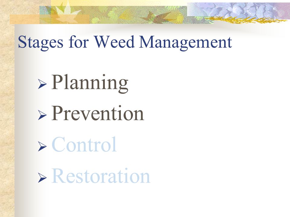 Stages for Weed Management  Planning  Prevention  Control  Restoration