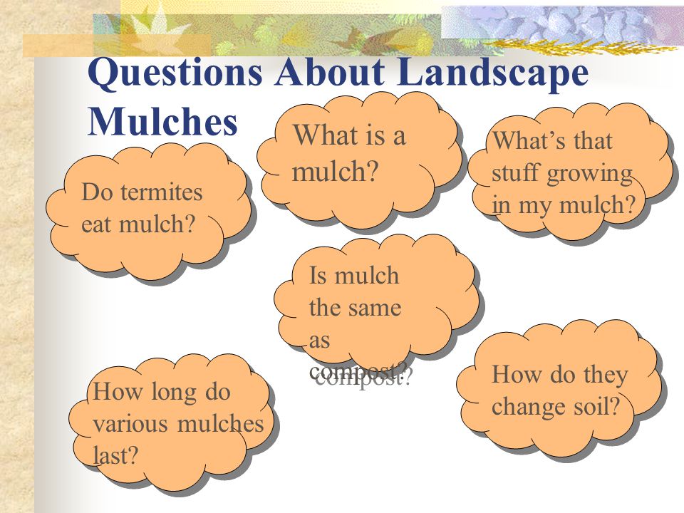Questions About Landscape Mulches Is mulch the same as compost.
