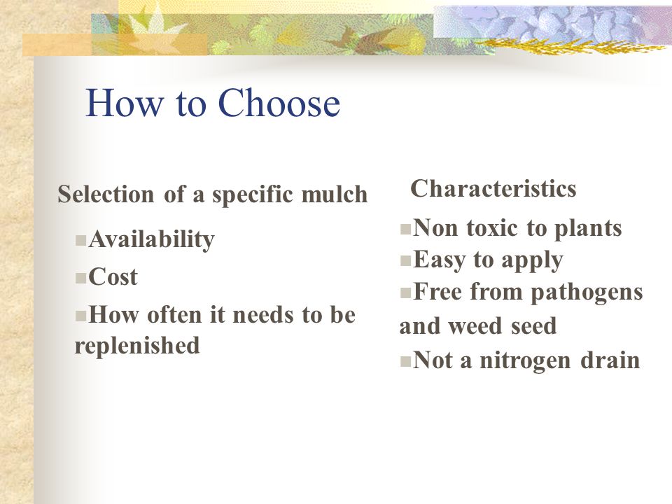 Selection of a specific mulch Characteristics Availability Cost How often it needs to be replenished Non toxic to plants Easy to apply Free from pathogens and weed seed Not a nitrogen drain How to Choose