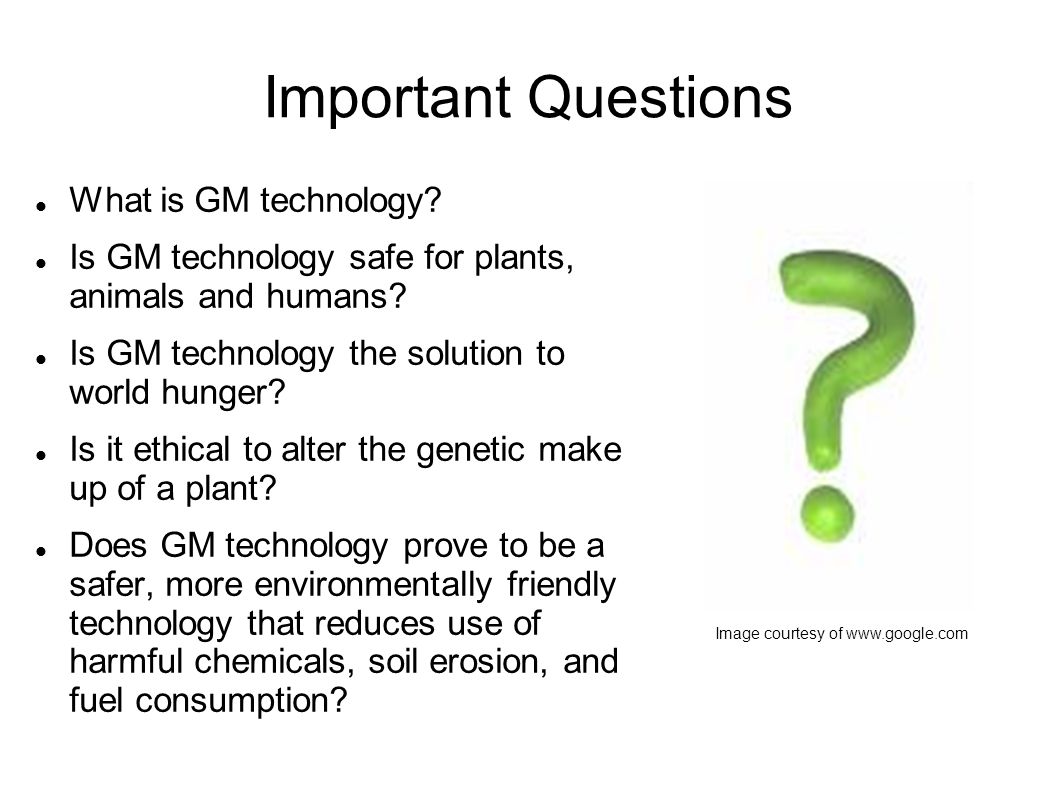 What Is Gm >> Gm Technology The Perfect Plant Or The Next Mad Cow Image What Is Gm >> Gm Technology The Perfect Plant Or The Next Mad Cow Image