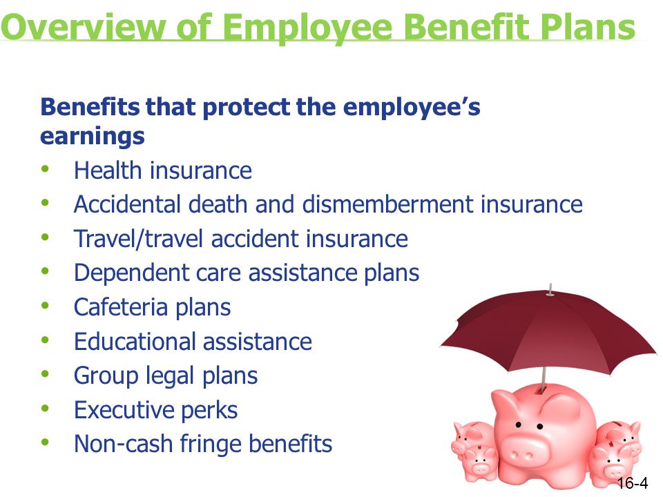 Overview of Employee Benefit Plans Benefits that protect the employee’s earnings Health insurance Accidental death and dismemberment insurance Travel/travel accident insurance Dependent care assistance plans Cafeteria plans Educational assistance Group legal plans Executive perks Non-cash fringe benefits 16-4