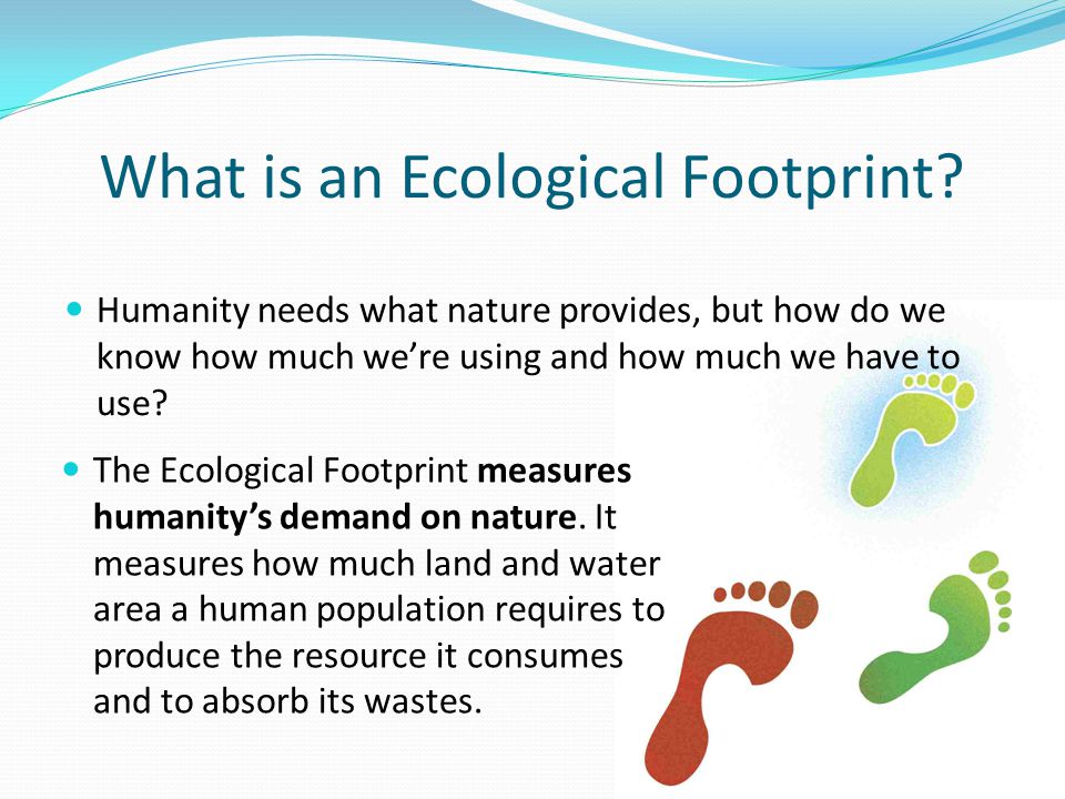 What is an Ecological Footprint.