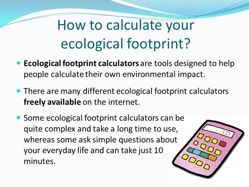How to calculate your ecological footprint.