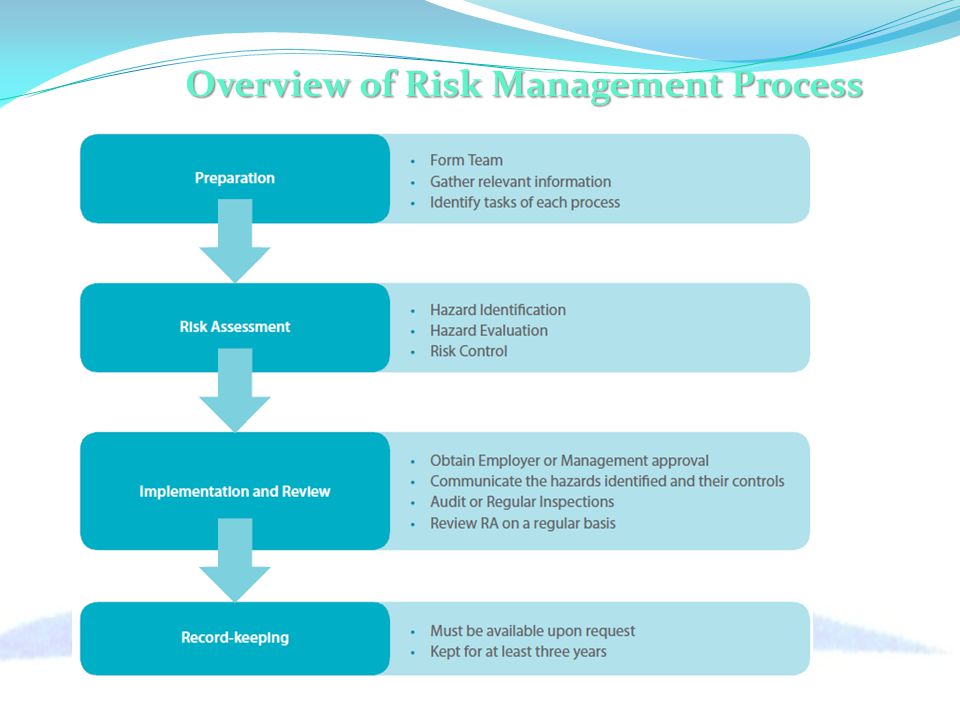Overview of Risk Management Process