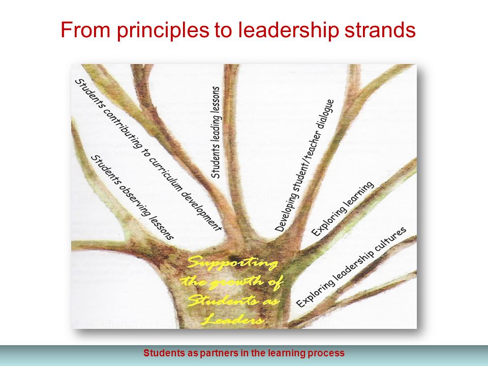 From principles to leadership strands Students as partners in the learning process