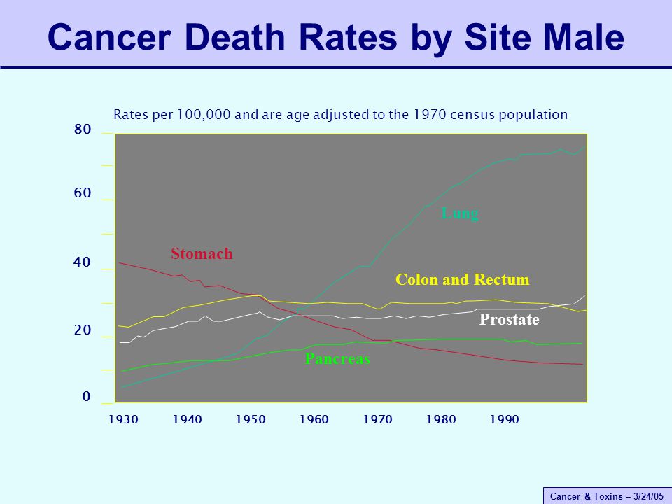 Cancer & Toxins – 3/24/05 Lung Stomach Colon and Rectum Prostate Pancreas Rates per 100,000 and are age adjusted to the 1970 census population Cancer Death Rates by Site Male