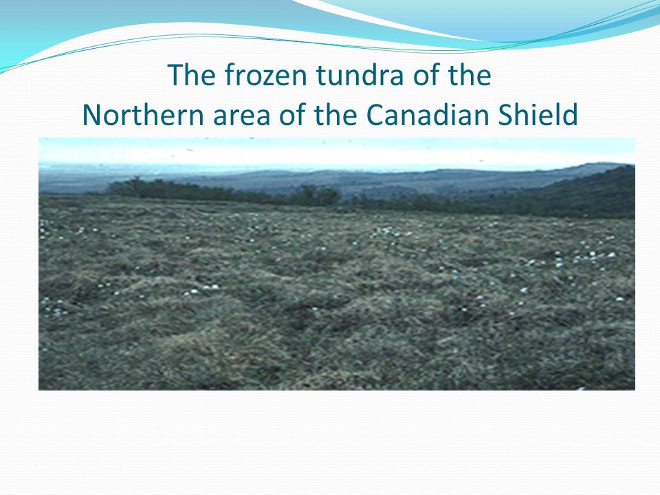The frozen tundra of the Northern area of the Canadian Shield