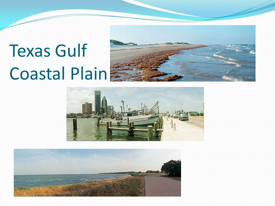 Texas Gulf Coastal Plain