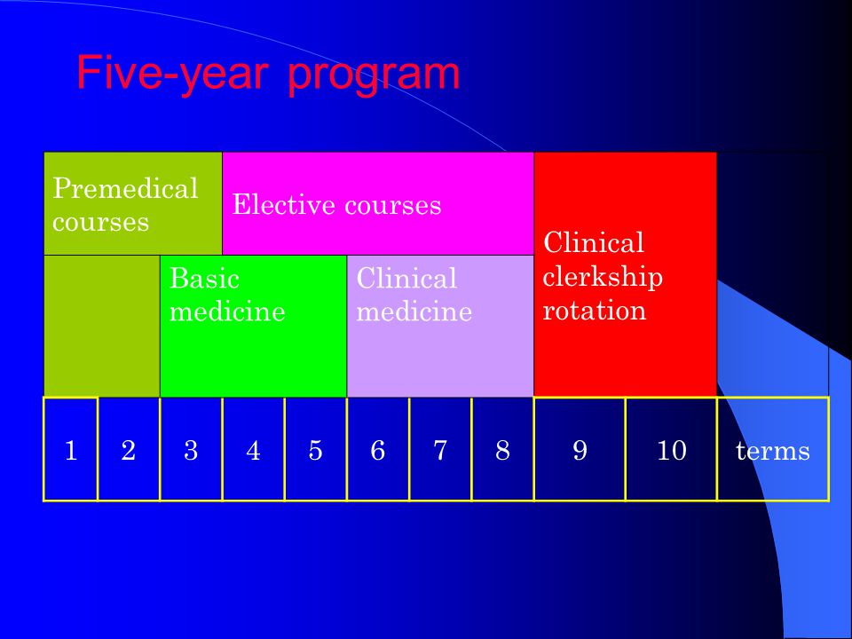 Five-year program Premedical courses Elective courses Clinical clerkship rotation Basic medicine Clinical medicine terms