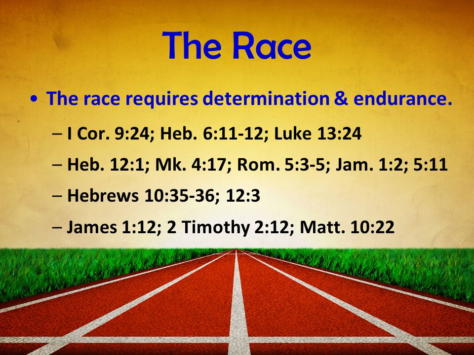 The Race The race requires determination & endurance.