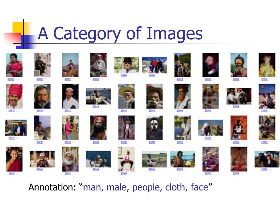 A Category of Images Annotation: man, male, people, cloth, face