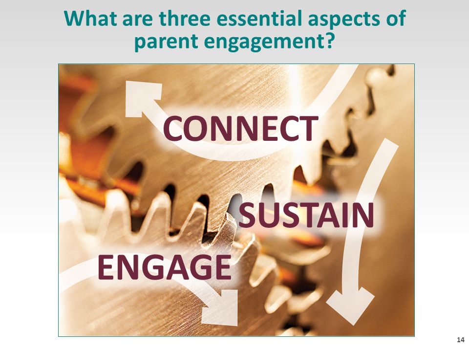 14 What are three essential aspects of parent engagement