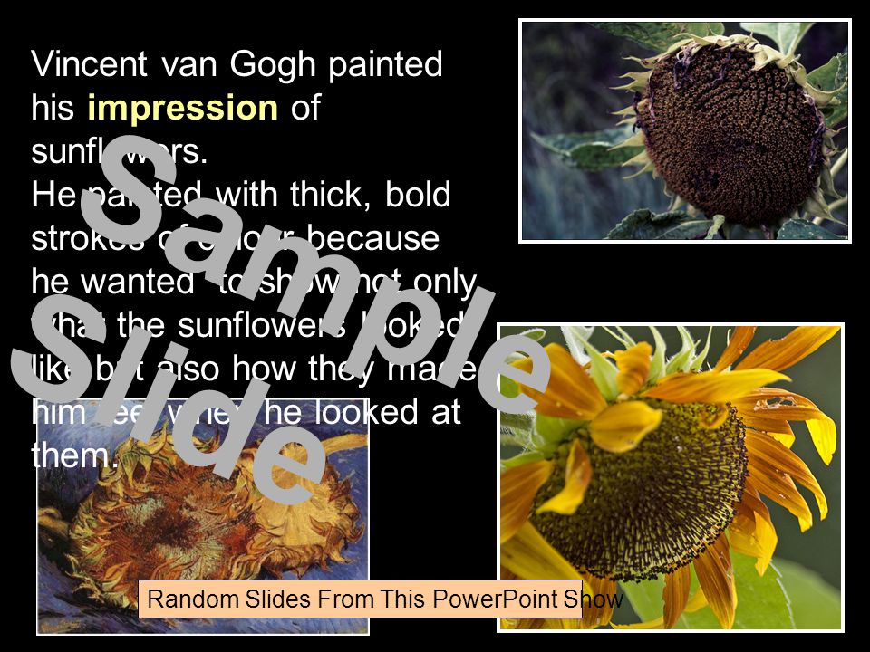 Vincent van Gogh painted his impression of sunflowers.