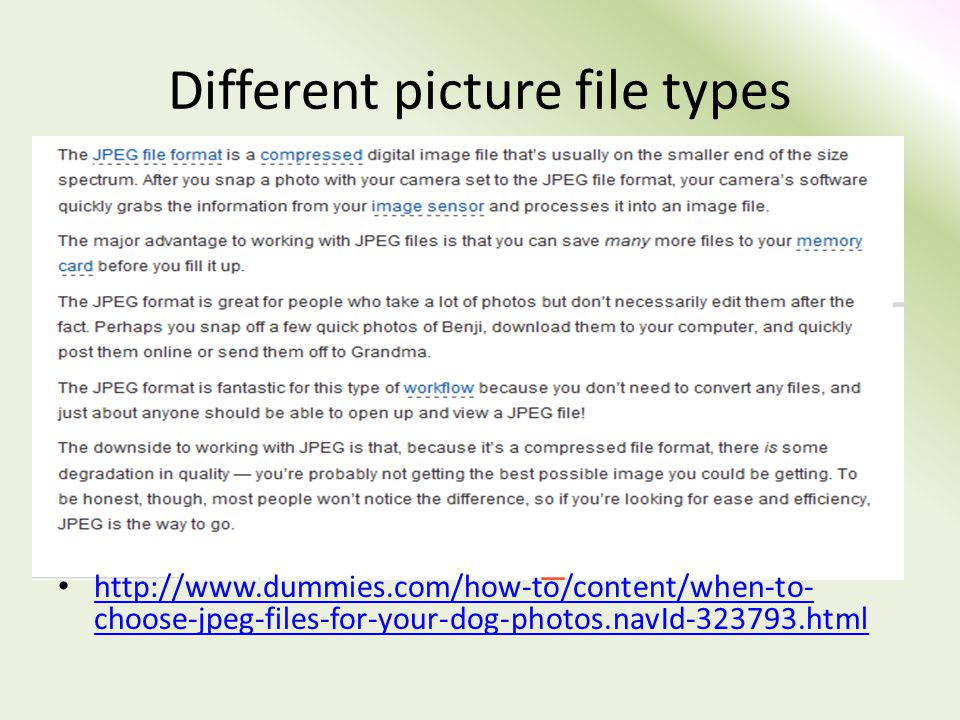 Different picture file types   choose-jpeg-files-for-your-dog-photos.navId html   choose-jpeg-files-for-your-dog-photos.navId html