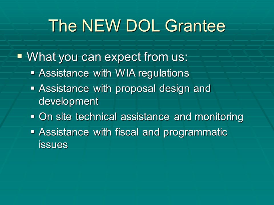 The NEW DOL Grantee  What you can expect from us:  Assistance with WIA regulations  Assistance with proposal design and development  On site technical assistance and monitoring  Assistance with fiscal and programmatic issues