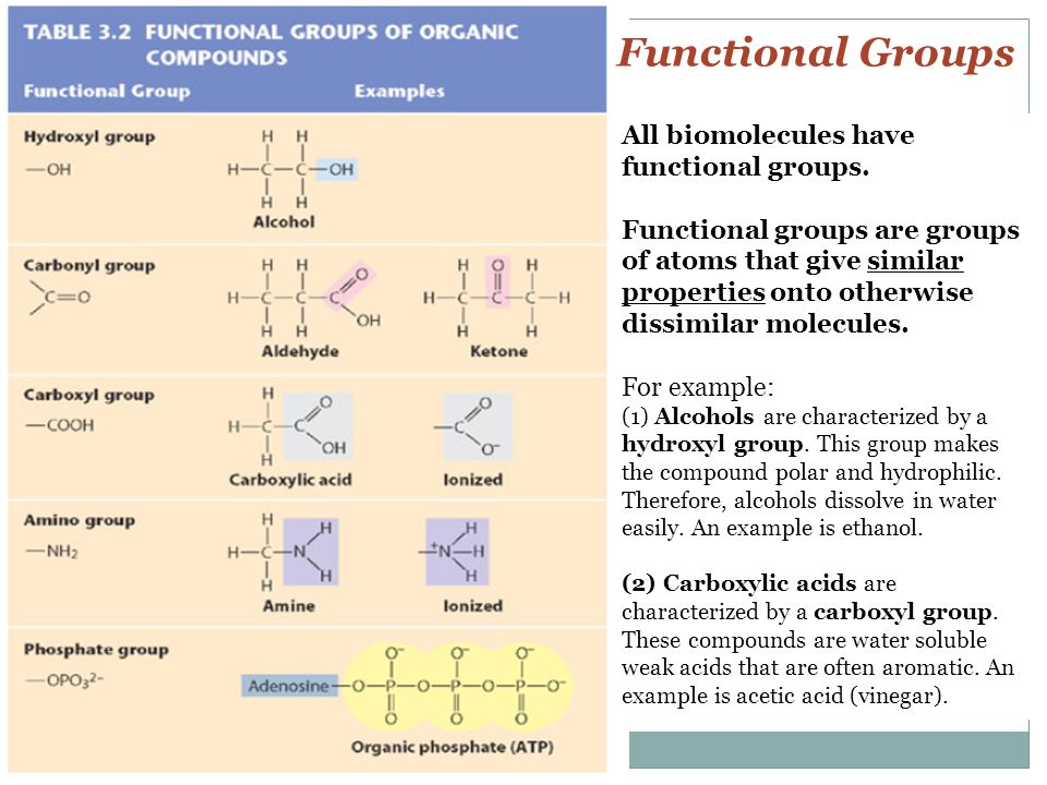Unit 2 Biomolecules Notes 4 Intro To Biomolecules Lipids Ppt Download Unit 2 Biomolecules Notes 4 Intro To Biomolecules Lipids Ppt Download