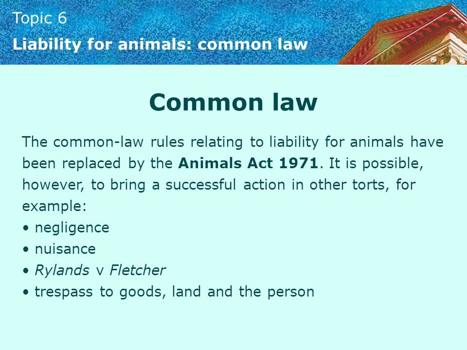 Topic 6 Liability for animals. Topic 6 Introduction Liability for animals  may arise under the common law or under the statutory rules contained in the.  - ppt download