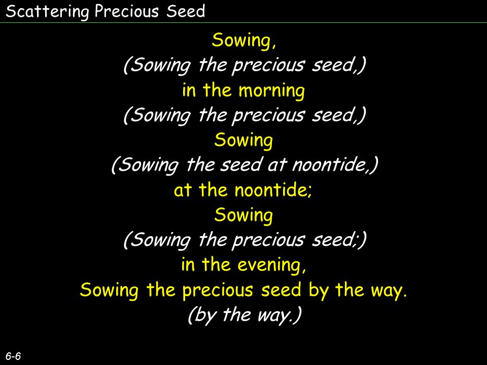 Scattering Precious Seed 1 6 Scattering Precious Seed By The Wayside Scattering Precious Seed By The Hillside Scattering Precious Seed O Er The Field Ppt Download