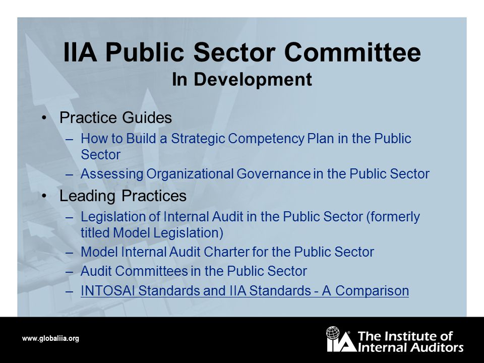 IIA Public Sector Committee In Development Practice Guides –How to Build a Strategic Competency Plan in the Public Sector –Assessing Organizational Governance in the Public Sector Leading Practices –Legislation of Internal Audit in the Public Sector (formerly titled Model Legislation) –Model Internal Audit Charter for the Public Sector –Audit Committees in the Public Sector –INTOSAI Standards and IIA Standards - A Comparison