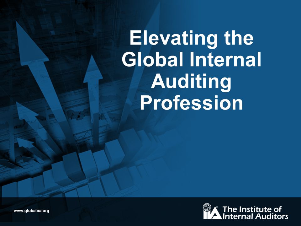 Elevating the Global Internal Auditing Profession