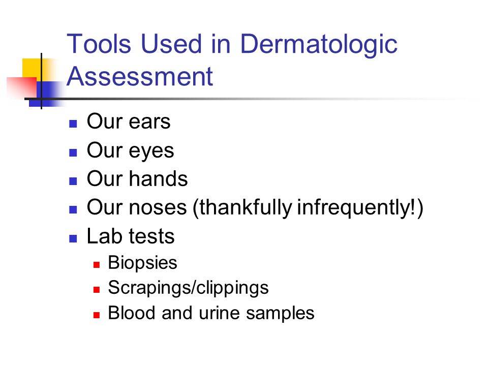 Tools Used in Dermatologic Assessment Our ears Our eyes Our hands Our noses (thankfully infrequently!) Lab tests Biopsies Scrapings/clippings Blood and urine samples