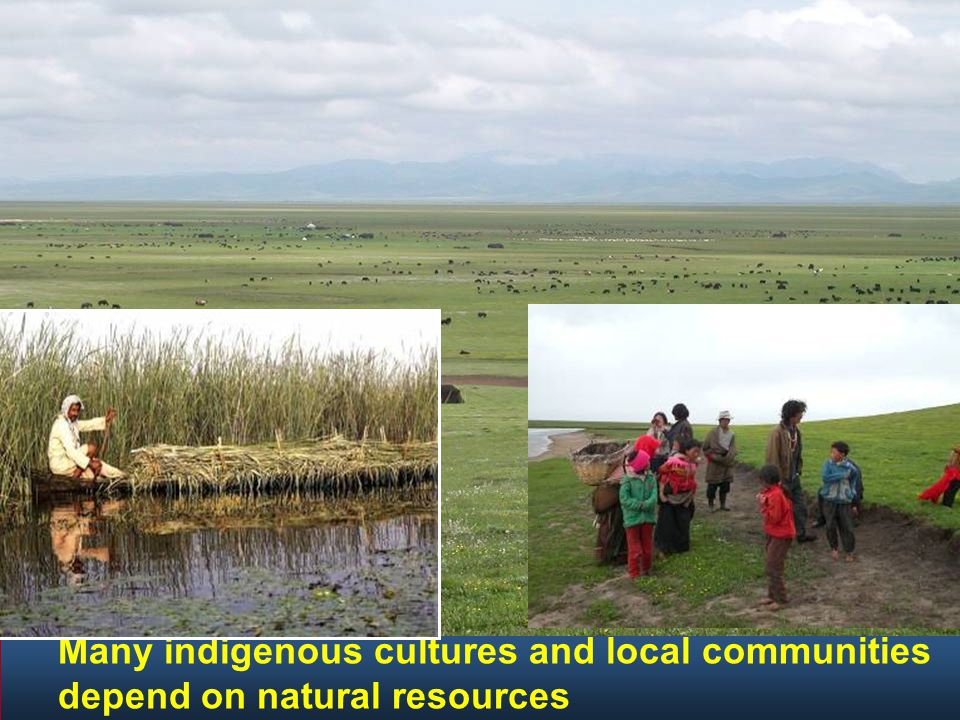 Many indigenous cultures and local communities depend on natural resources