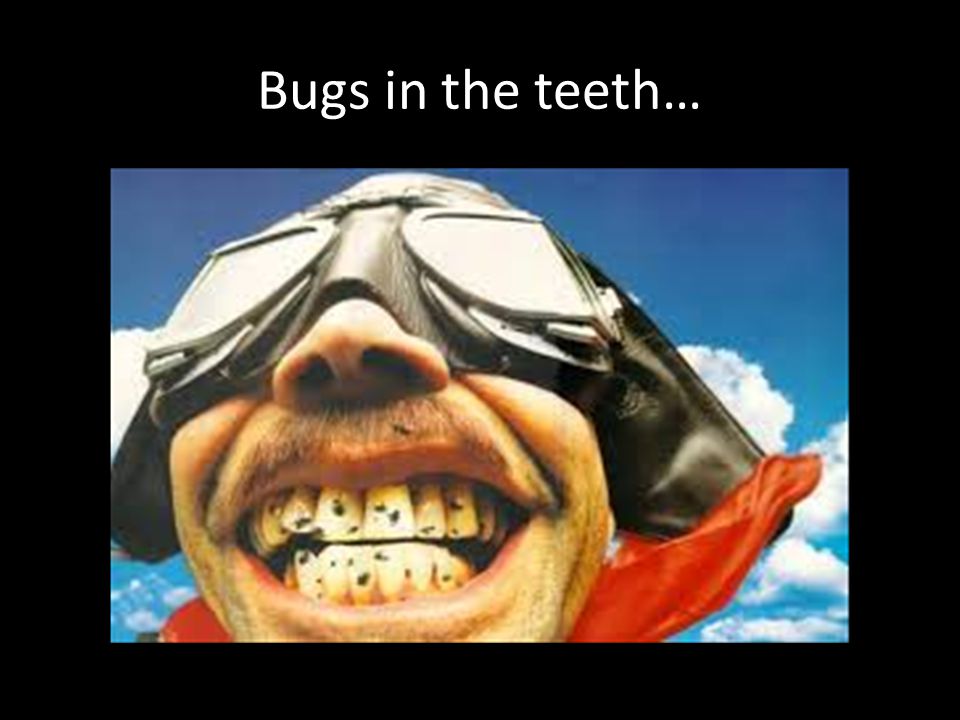 Bugs in the teeth…