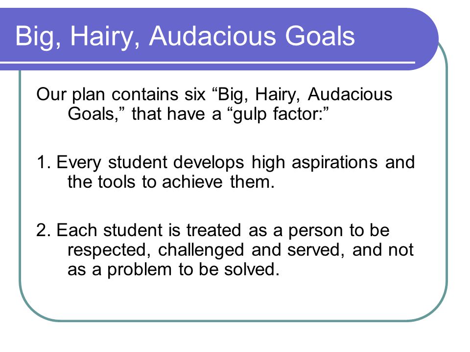 Big, Hairy, Audacious Goals Our plan contains six Big, Hairy, Audacious Goals, that have a gulp factor: 1.
