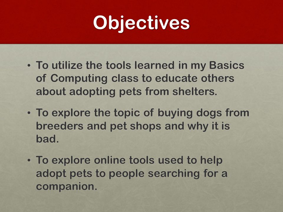 Objectives To utilize the tools learned in my Basics of Computing class to educate others about adopting pets from shelters.