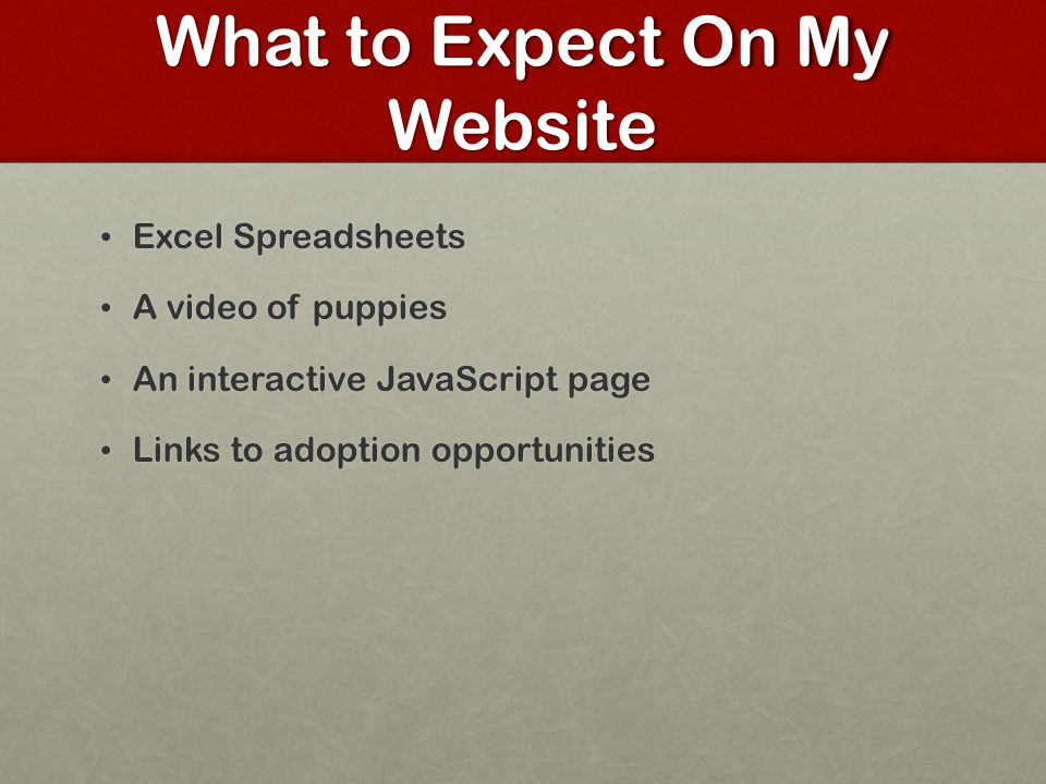 What to Expect On My Website Excel Spreadsheets Excel Spreadsheets A video of puppies A video of puppies An interactive JavaScript page An interactive JavaScript page Links to adoption opportunities Links to adoption opportunities