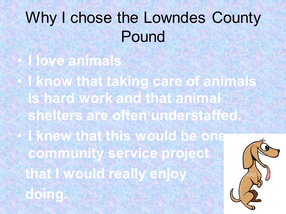 Why I chose the Lowndes County Pound I love animals I know that taking care of animals is hard work and that animal shelters are often understaffed.