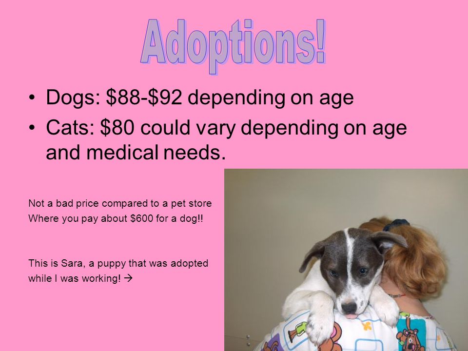 Dogs: $88-$92 depending on age Cats: $80 could vary depending on age and medical needs.