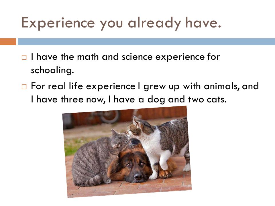 Experience you already have.  I have the math and science experience for schooling.