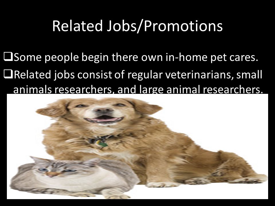Related Jobs/Promotions  Some people begin there own in-home pet cares.