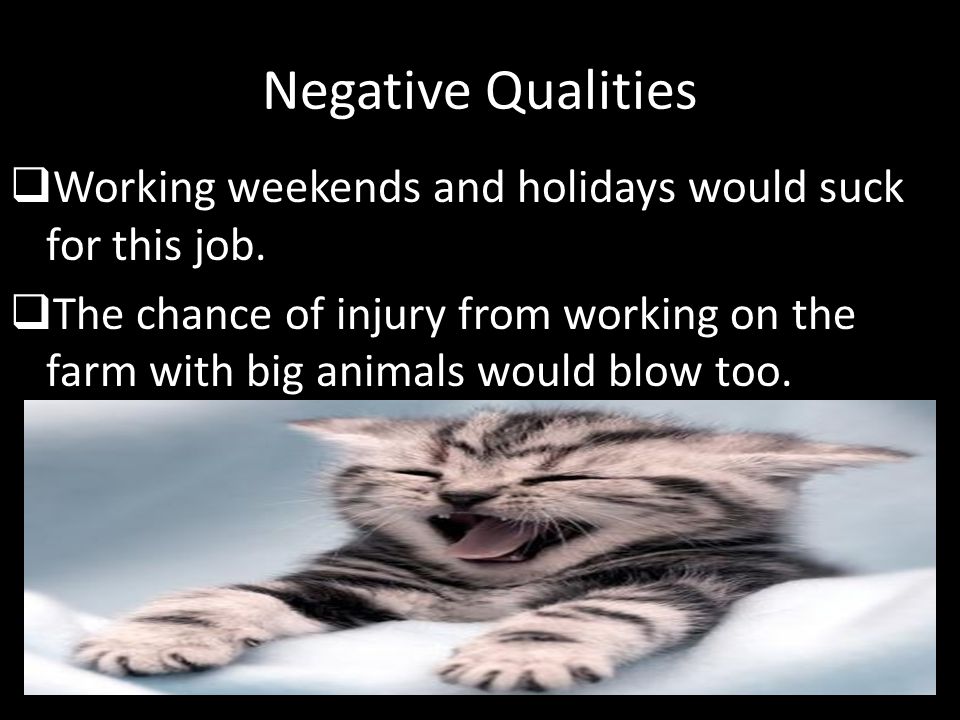 Negative Qualities  Working weekends and holidays would suck for this job.