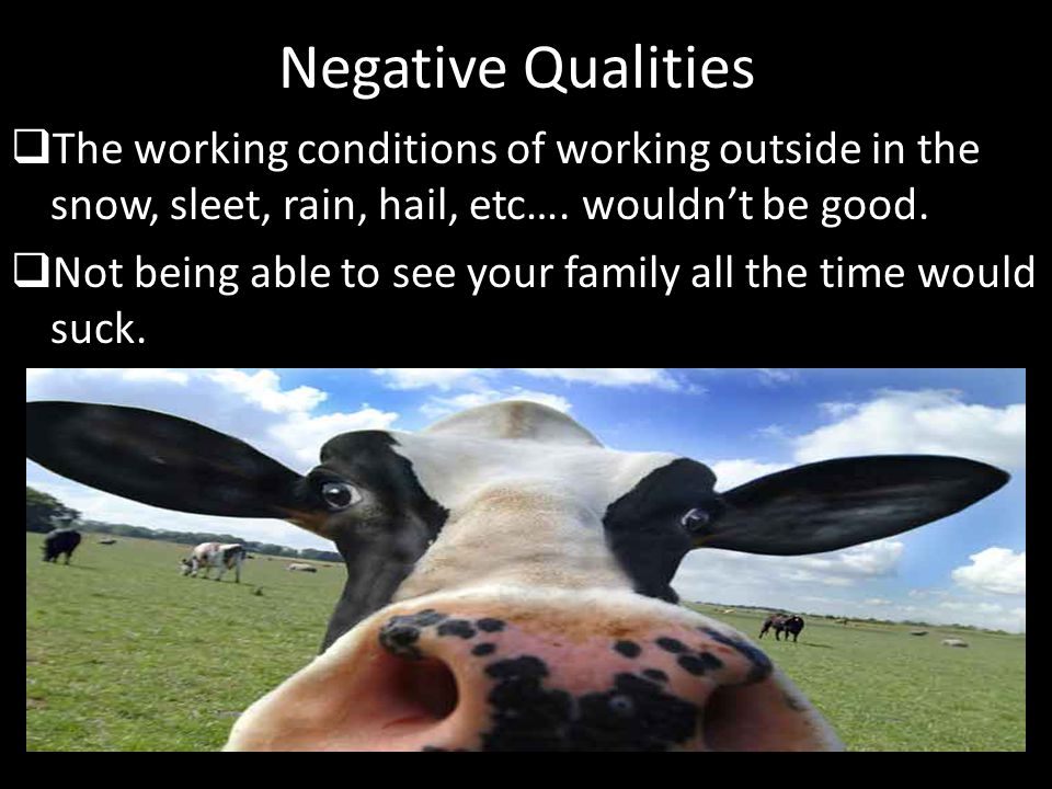 Negative Qualities  The working conditions of working outside in the snow, sleet, rain, hail, etc….