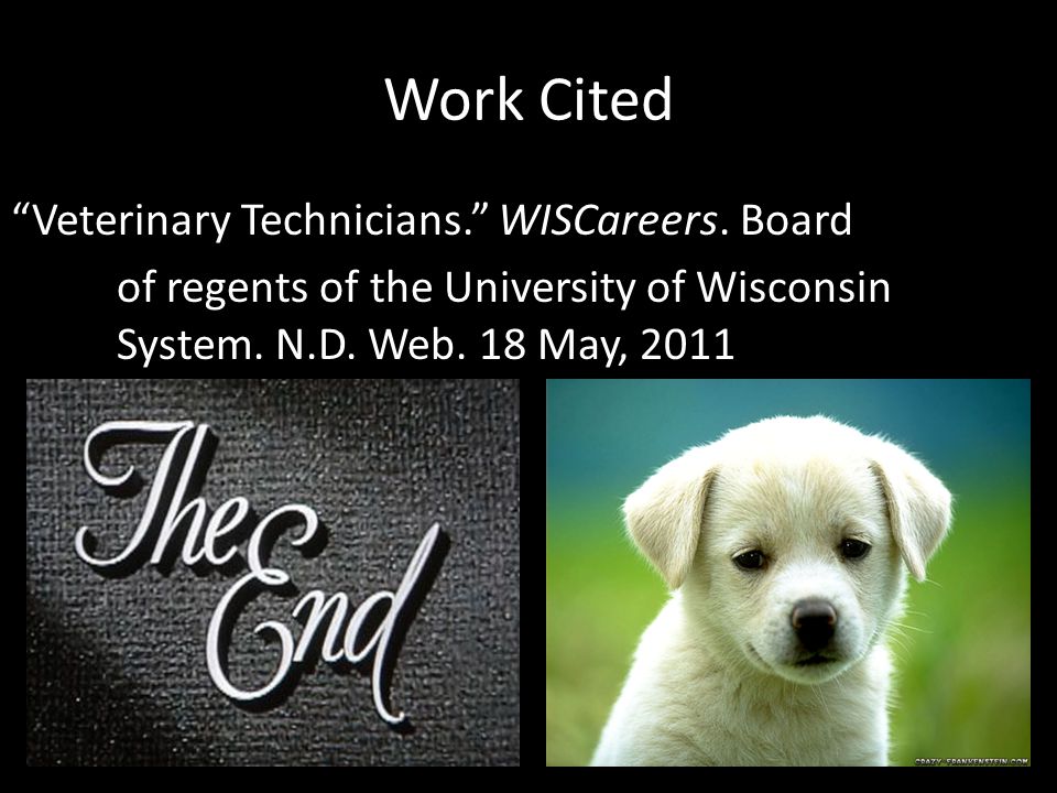 Work Cited Veterinary Technicians. WISCareers.