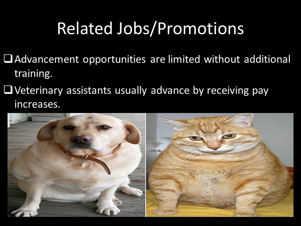 Related Jobs/Promotions  Advancement opportunities are limited without additional training.