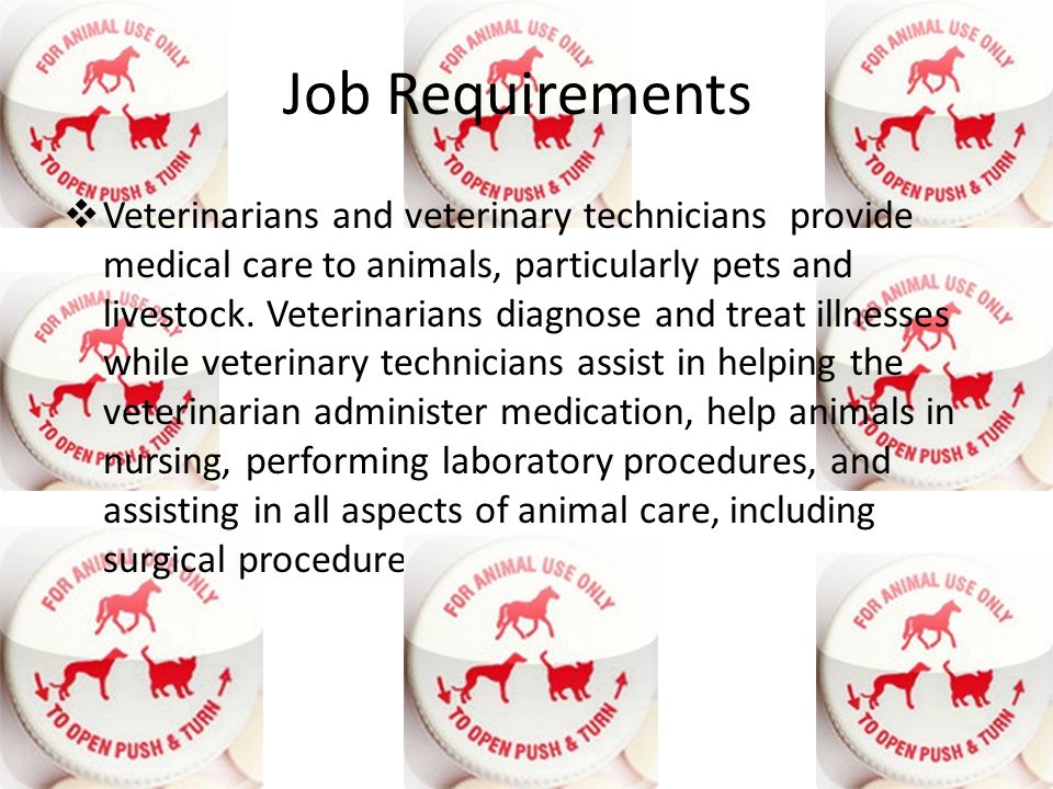 Job Requirements  Veterinarians and veterinary technicians provide medical care to animals, particularly pets and livestock.