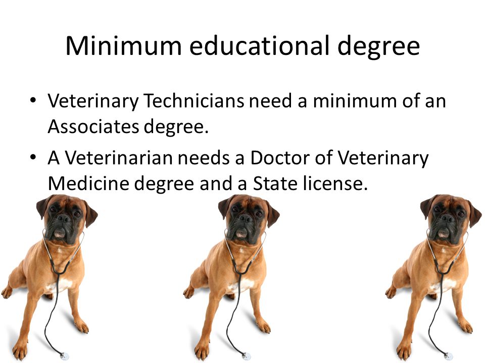 Minimum educational degree Veterinary Technicians need a minimum of an Associates degree.