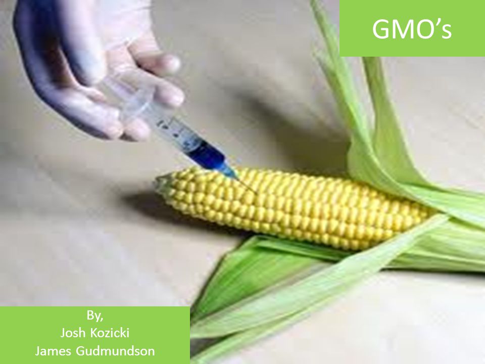 GMO’s By, Josh Kozicki James Gudmundson