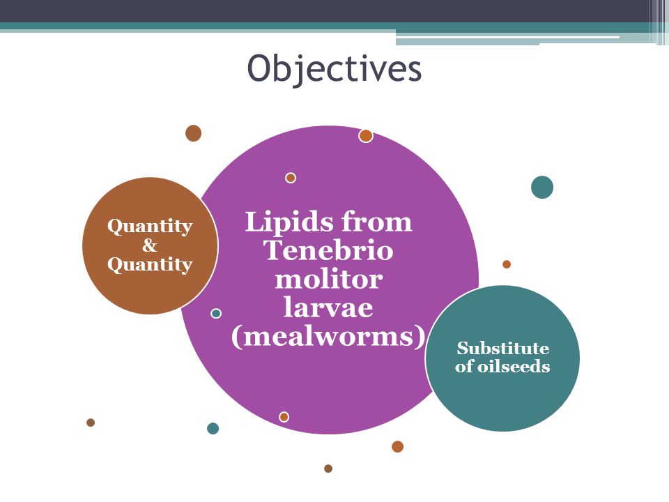 Physicochemical properties of lipids extracted from Tenebrio molitor larvae Danthine S, Blecker C, Paul A*, Frederich M, Taofic A... 