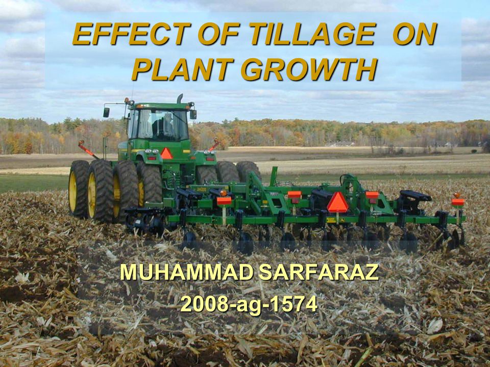EFFECT OF TILLAGE ON PLANT GROWTH MUHAMMAD SARFARAZ 2008-ag-1574