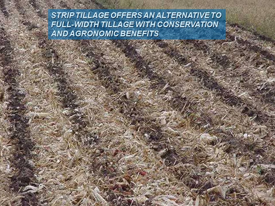 STRIP TILLAGE OFFERS AN ALTERNATIVE TO FULL-WIDTH TILLAGE WITH CONSERVATION AND AGRONOMIC BENEFITS
