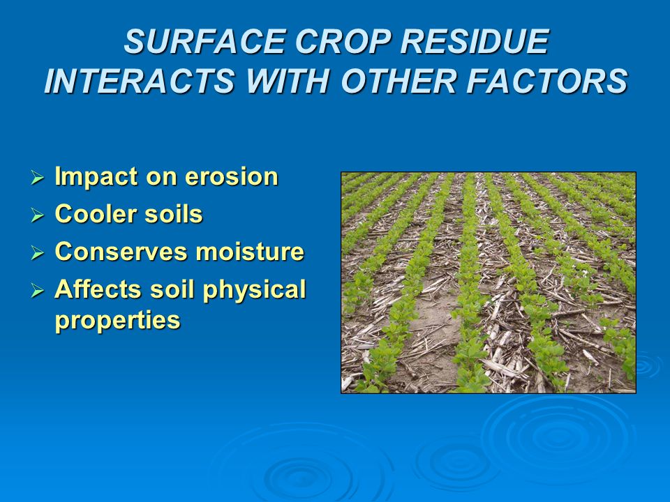 SURFACE CROP RESIDUE INTERACTS WITH OTHER FACTORS  Impact on erosion  Cooler soils  Conserves moisture  Affects soil physical properties