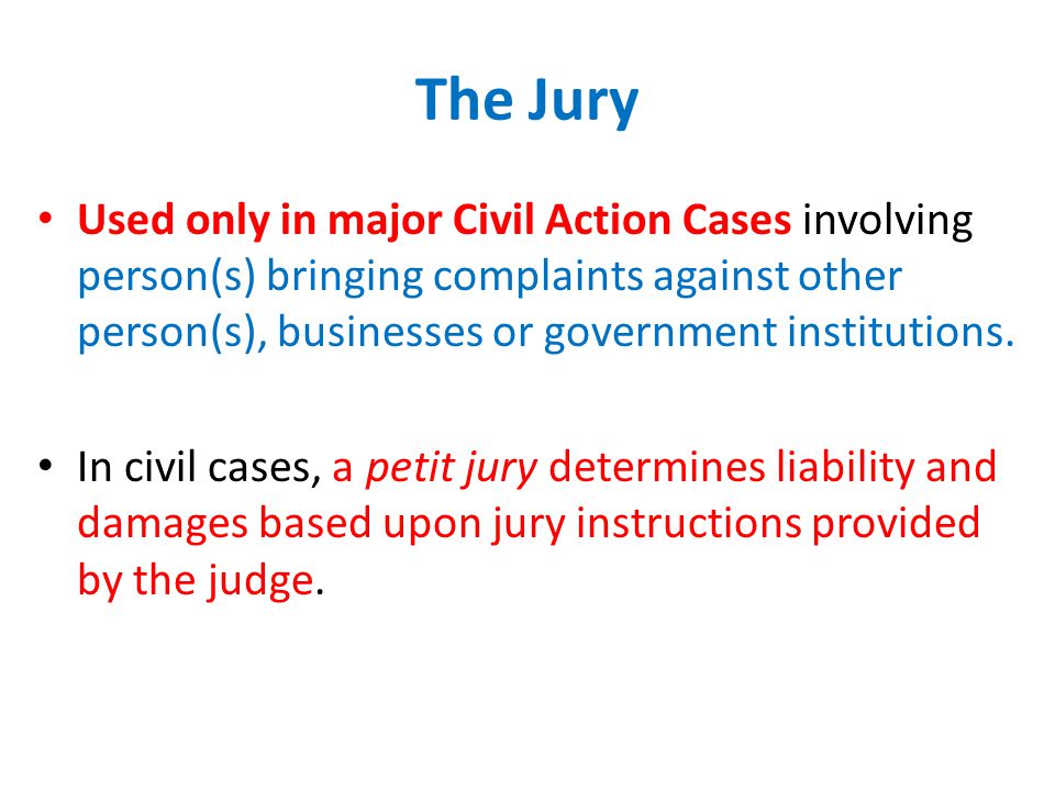 The Jury Used only in major Civil Action Cases involving person(s) bringing complaints against other person(s), businesses or government institutions.