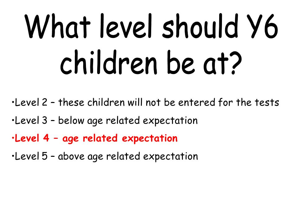 Level 2 – these children will not be entered for the tests Level 3 – below age related expectation Level 4 – age related expectation Level 5 – above age related expectation