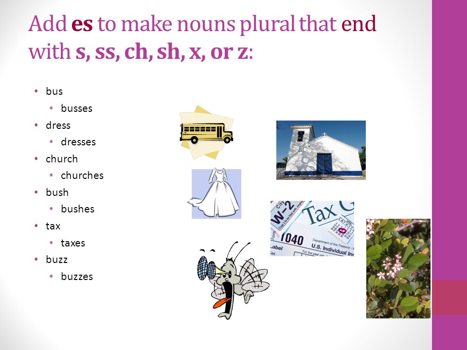 Are these nouns plural or singular 1.houses 2.baby 3.animals 4.tables 5.books 6.blueberries