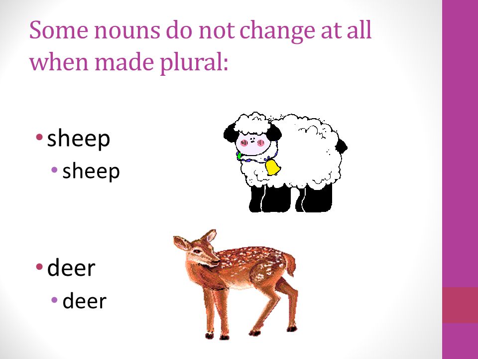 Some nouns that end in o change to es when made plural.